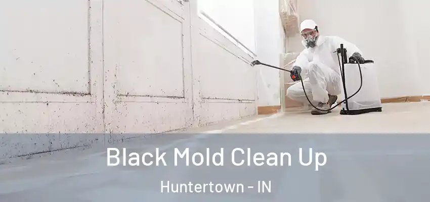  Black Mold Clean Up Huntertown - IN
