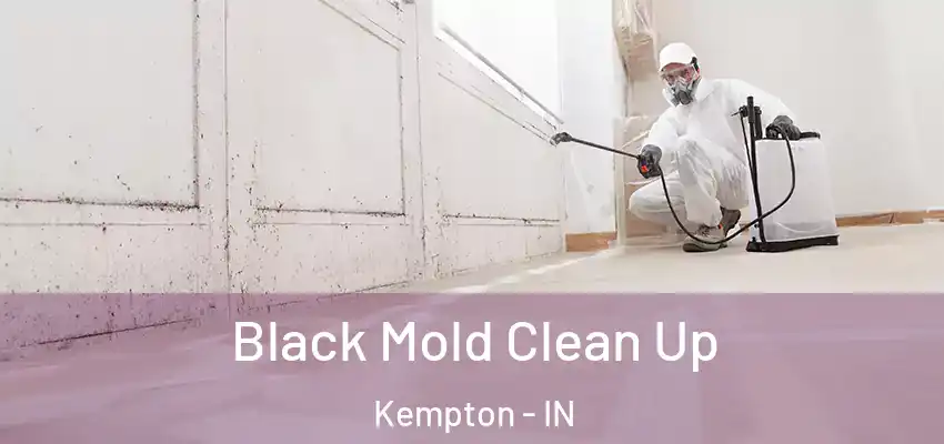 Black Mold Clean Up Kempton - IN