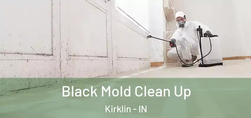Black Mold Clean Up Kirklin - IN