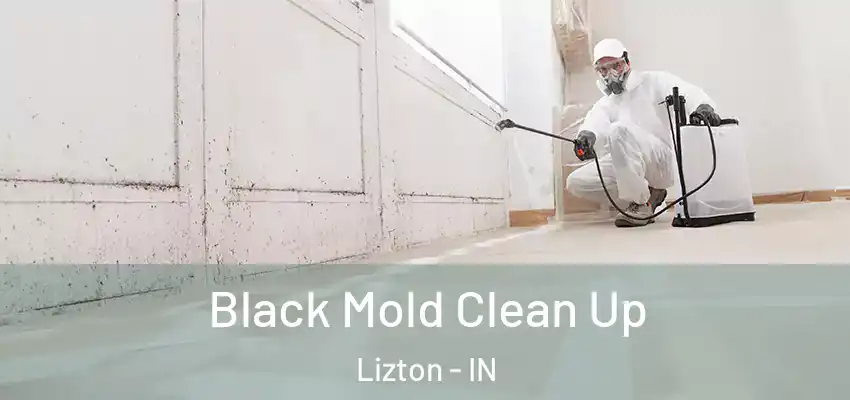  Black Mold Clean Up Lizton - IN