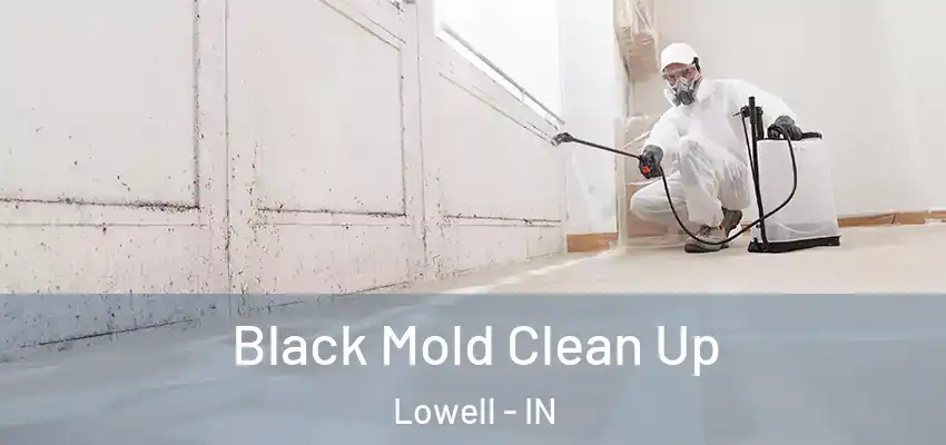  Black Mold Clean Up Lowell - IN
