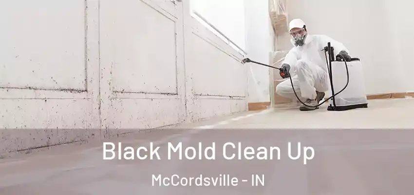  Black Mold Clean Up McCordsville - IN