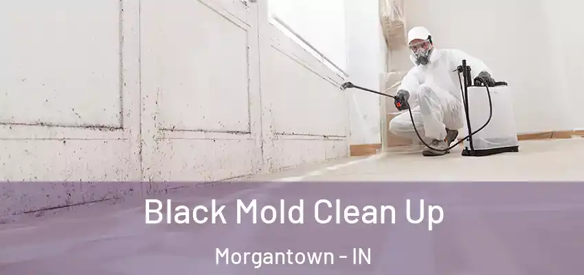  Black Mold Clean Up Morgantown - IN