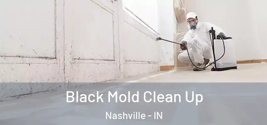  Black Mold Clean Up Nashville - IN