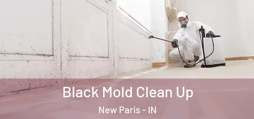  Black Mold Clean Up New Paris - IN