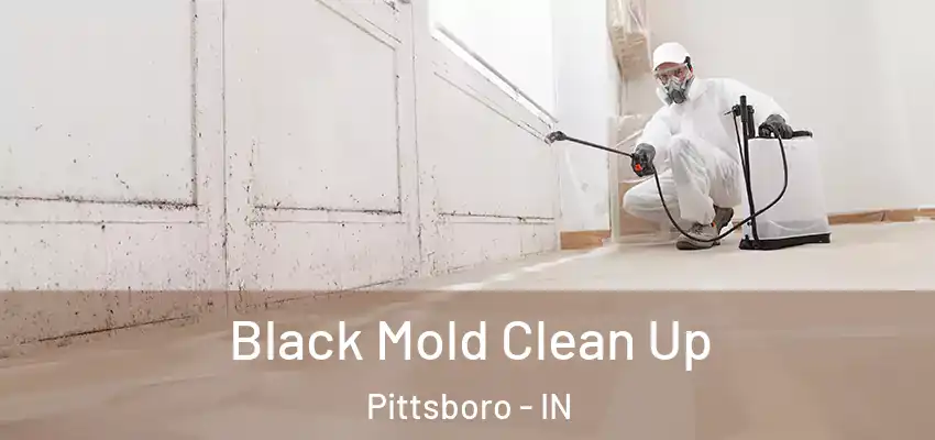  Black Mold Clean Up Pittsboro - IN