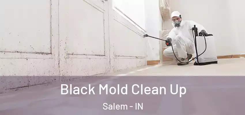  Black Mold Clean Up Salem - IN