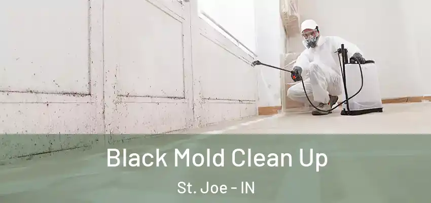  Black Mold Clean Up St. Joe - IN