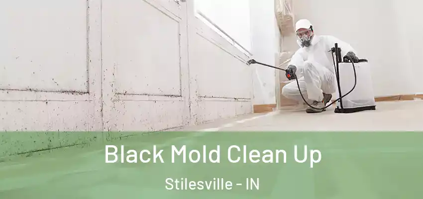  Black Mold Clean Up Stilesville - IN