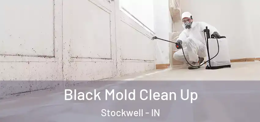  Black Mold Clean Up Stockwell - IN
