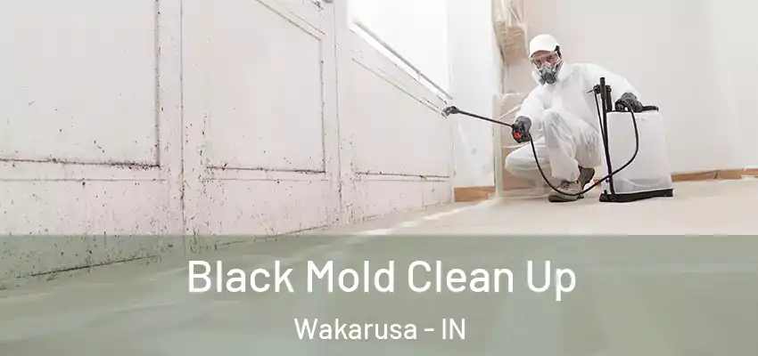  Black Mold Clean Up Wakarusa - IN