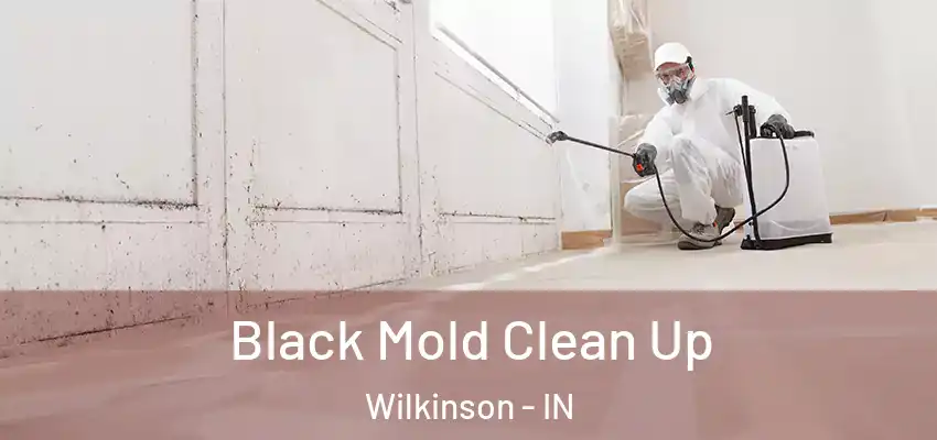  Black Mold Clean Up Wilkinson - IN