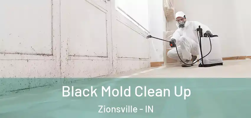  Black Mold Clean Up Zionsville - IN