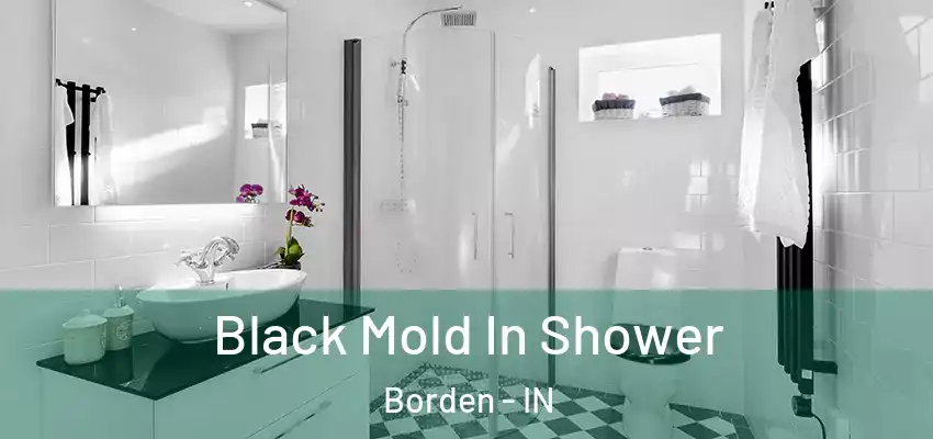  Black Mold In Shower Borden - IN