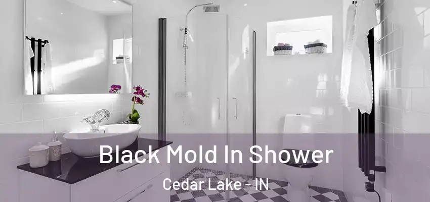 Black Mold In Shower Cedar Lake - IN