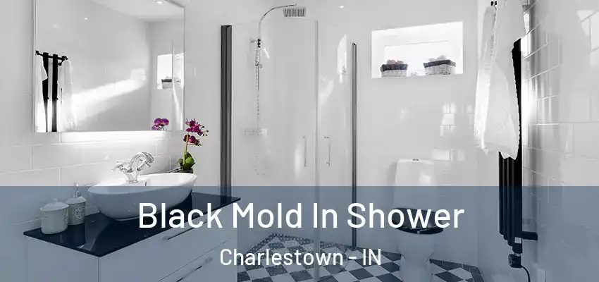  Black Mold In Shower Charlestown - IN