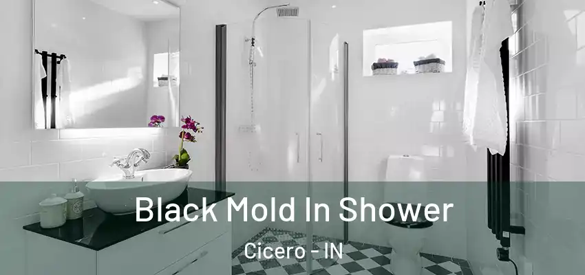  Black Mold In Shower Cicero - IN