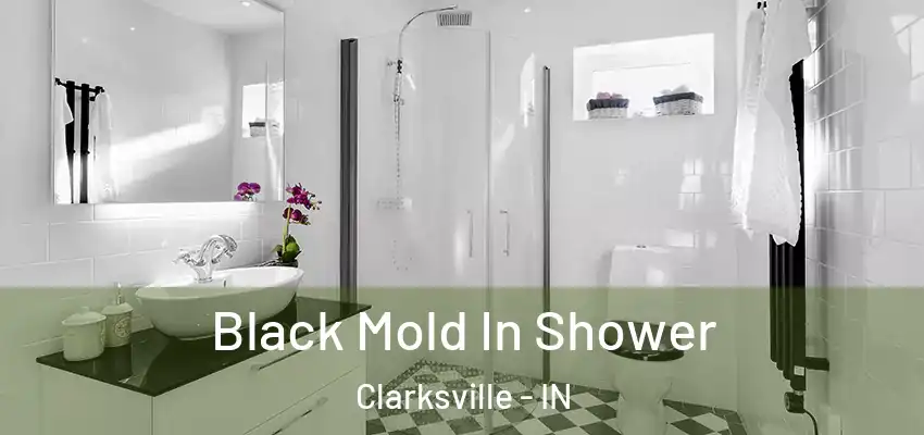 Black Mold In Shower Clarksville - IN