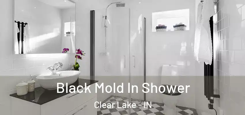 Black Mold In Shower Clear Lake - IN