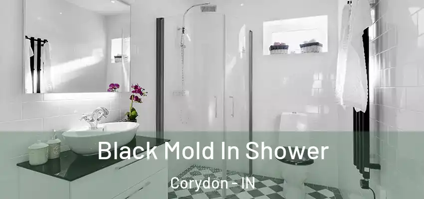  Black Mold In Shower Corydon - IN