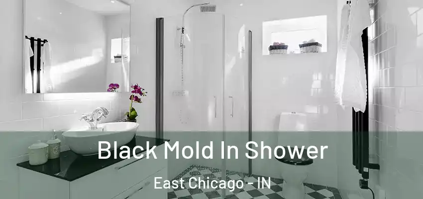 Black Mold In Shower East Chicago - IN
