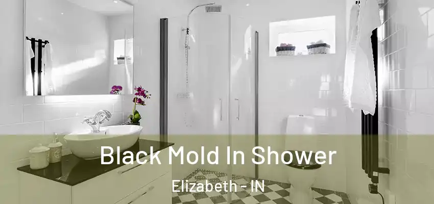 Black Mold In Shower Elizabeth - IN