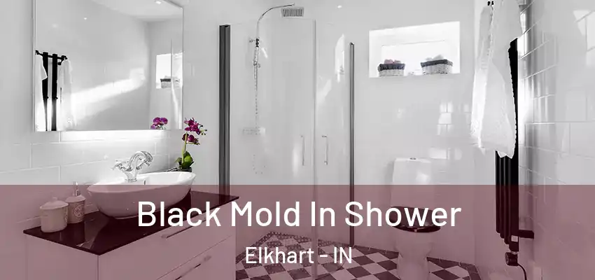 Black Mold In Shower Elkhart - IN