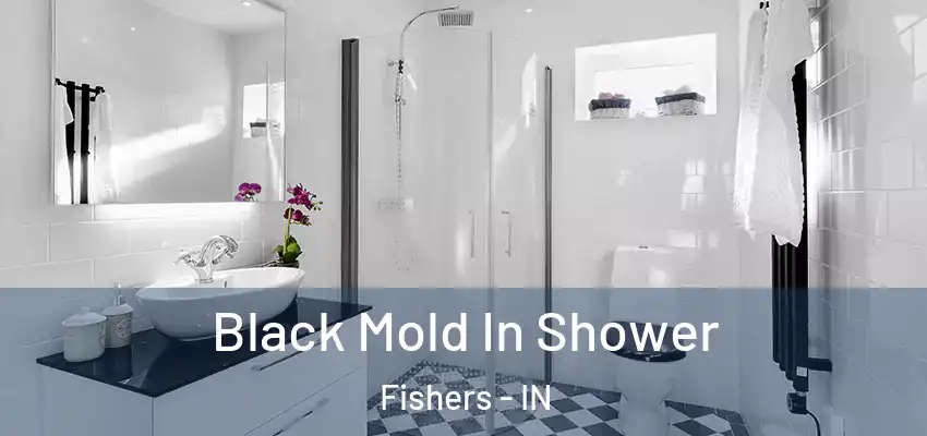  Black Mold In Shower Fishers - IN