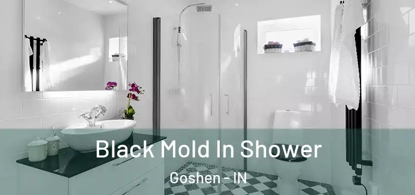 Black Mold In Shower Goshen - IN