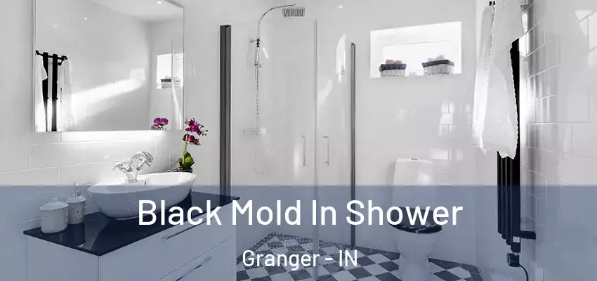  Black Mold In Shower Granger - IN