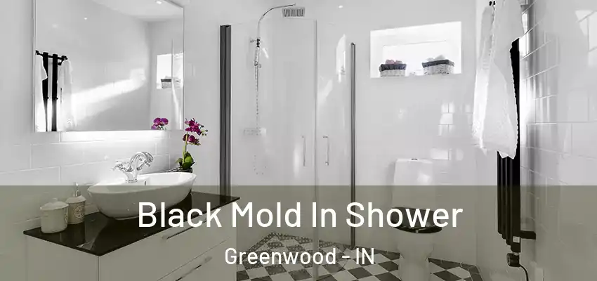 Black Mold In Shower Greenwood - IN