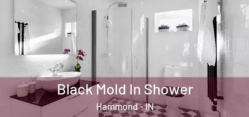  Black Mold In Shower Hammond - IN