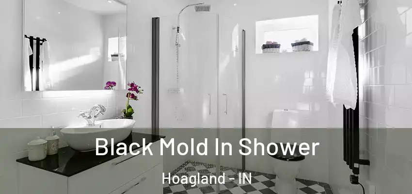  Black Mold In Shower Hoagland - IN