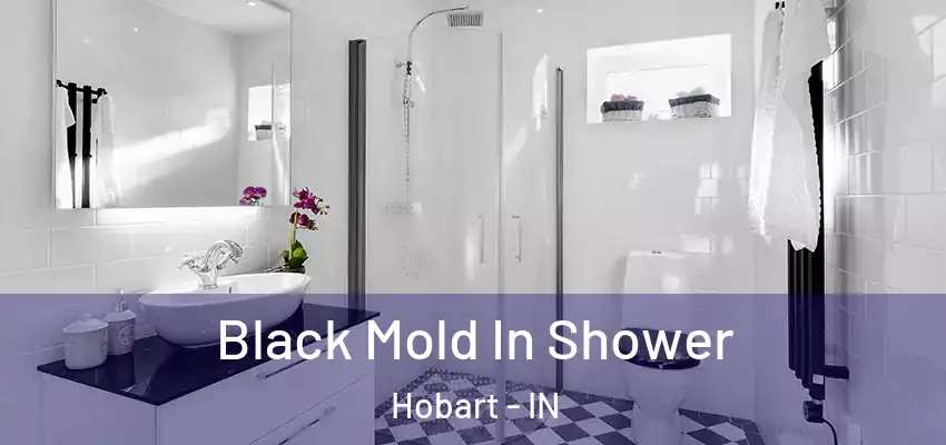  Black Mold In Shower Hobart - IN