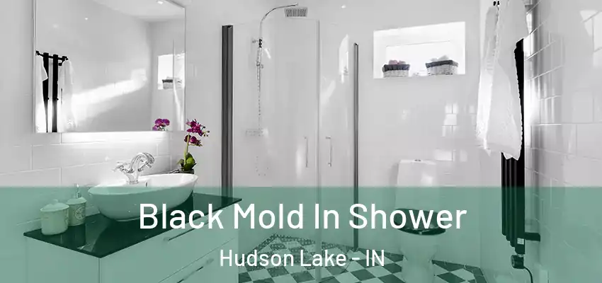  Black Mold In Shower Hudson Lake - IN