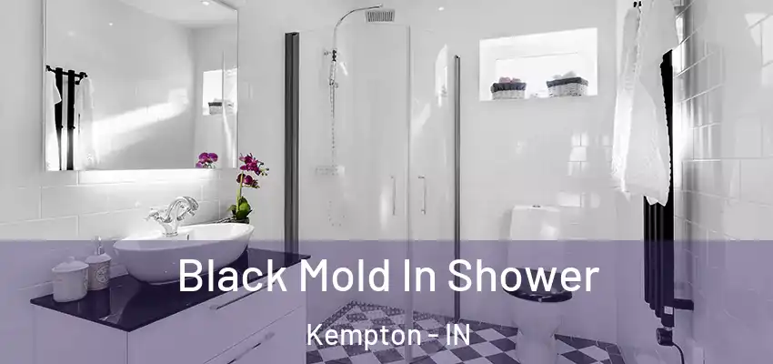  Black Mold In Shower Kempton - IN