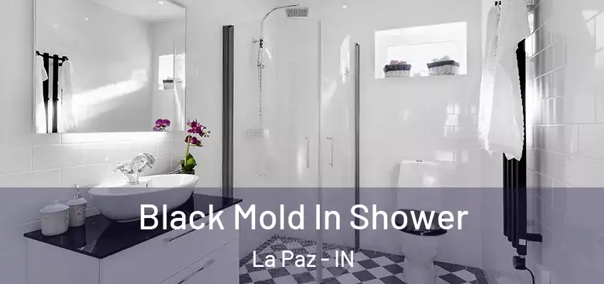  Black Mold In Shower La Paz - IN