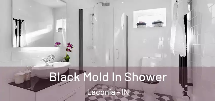  Black Mold In Shower Laconia - IN