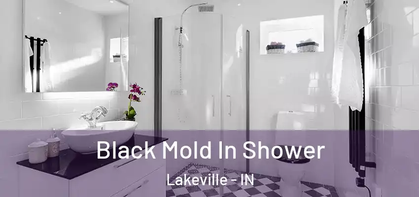  Black Mold In Shower Lakeville - IN