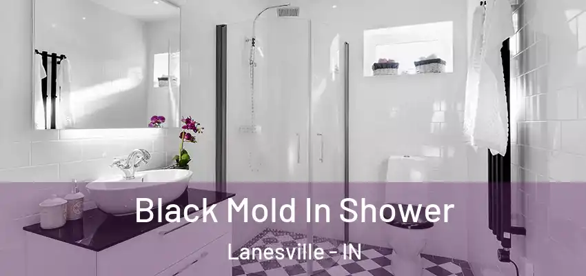  Black Mold In Shower Lanesville - IN