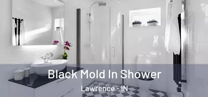 Black Mold In Shower Lawrence - IN