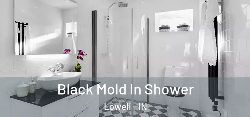  Black Mold In Shower Lowell - IN