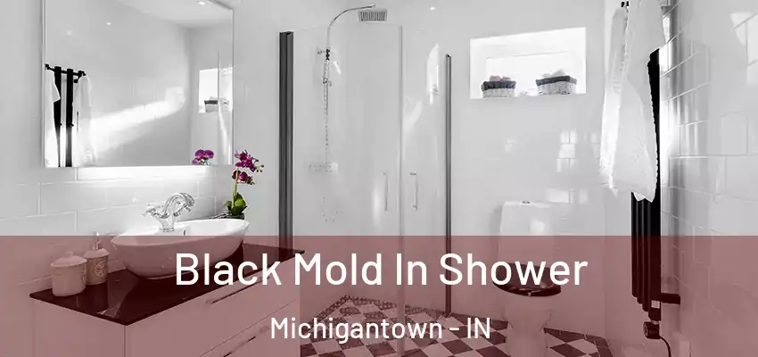  Black Mold In Shower Michigantown - IN