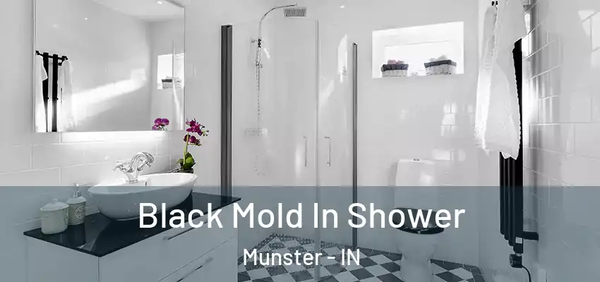  Black Mold In Shower Munster - IN