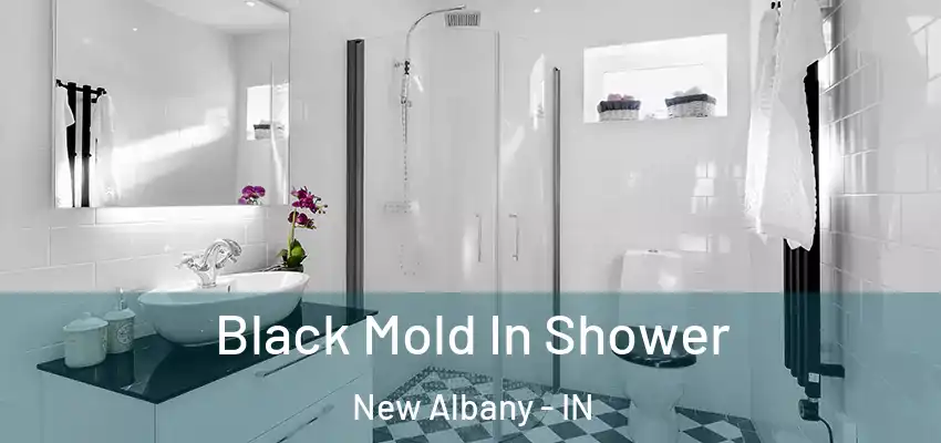  Black Mold In Shower New Albany - IN