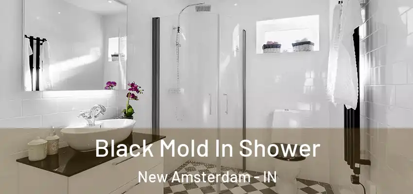  Black Mold In Shower New Amsterdam - IN