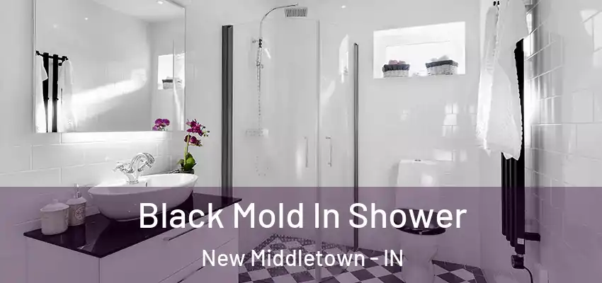  Black Mold In Shower New Middletown - IN