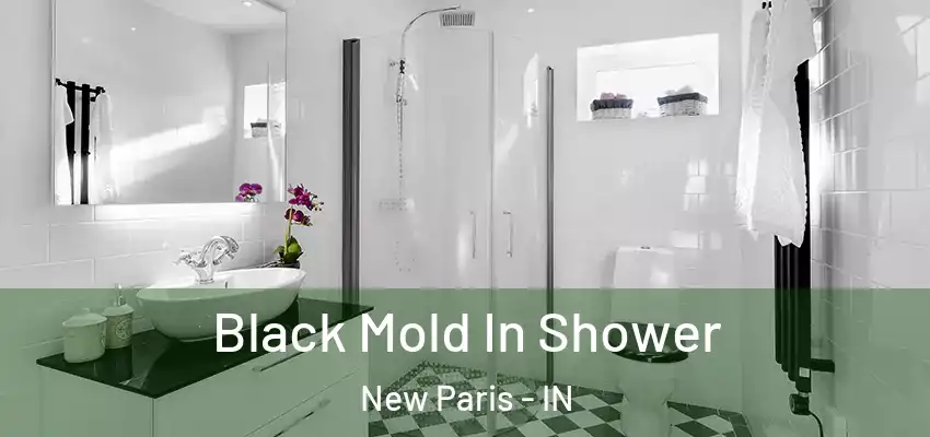  Black Mold In Shower New Paris - IN