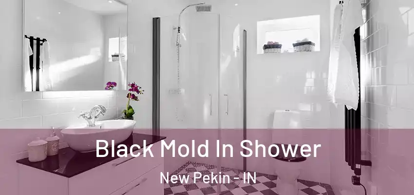  Black Mold In Shower New Pekin - IN