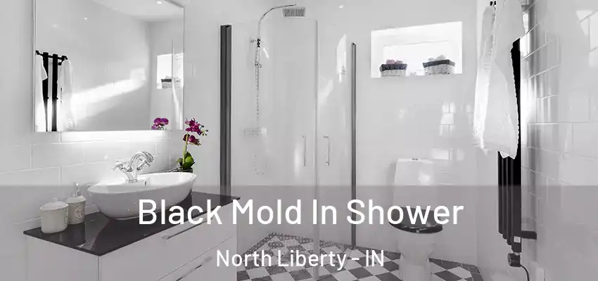  Black Mold In Shower North Liberty - IN